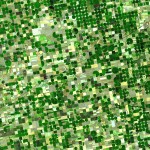Patterson: “Outrageous” That Farmers’ Lawsuit was Dismissed