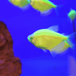 Multimedia: Take a Tour of the Center for PostNatural History