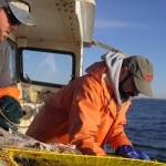 Multimedia: Hauling in the Sound