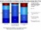 Voters Care About Climate, But Will Candidates Notice?