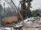 Fed Up: Cultivating Elk and Acrimony in Wyoming