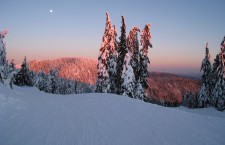 Painting the Pacific Northwest