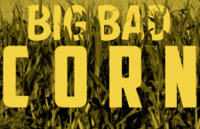Infographic: Big Bad Corn