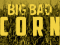 Infographic: Big Bad Corn