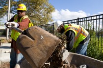 Greening The Hill