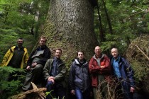 Review: Musicwood