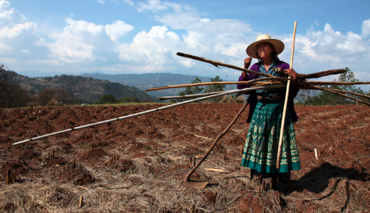 Diodora is among the activists fighting to prevent Goldcorp from despoiling their lands.