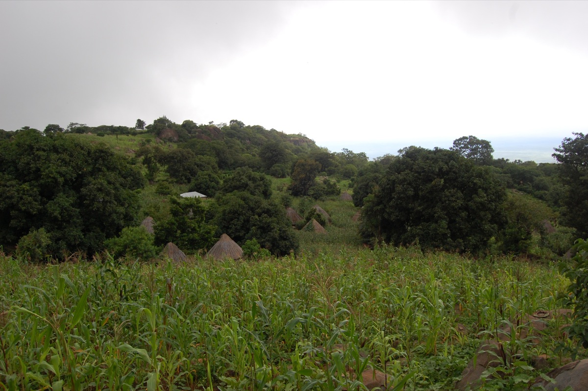 Small-scale, biodiverse agriculture for multiple services in Togue, Guinea. (Photo by Stephen Wood)