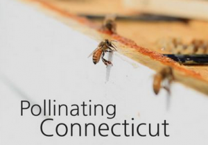 PollinatingCT