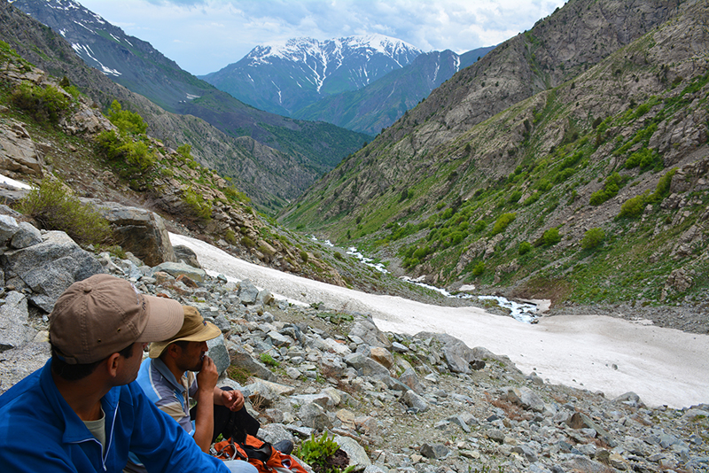 The author's research assistants, Komil and Zayniddin, survey the Hissar Range. Photo credit: Tara Meyer.