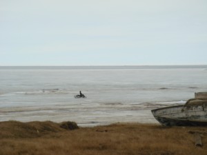 A member of a Wainwright whaling crew drives a snow machine across the sea ice to reach water.  Photo courtesy of the author. 