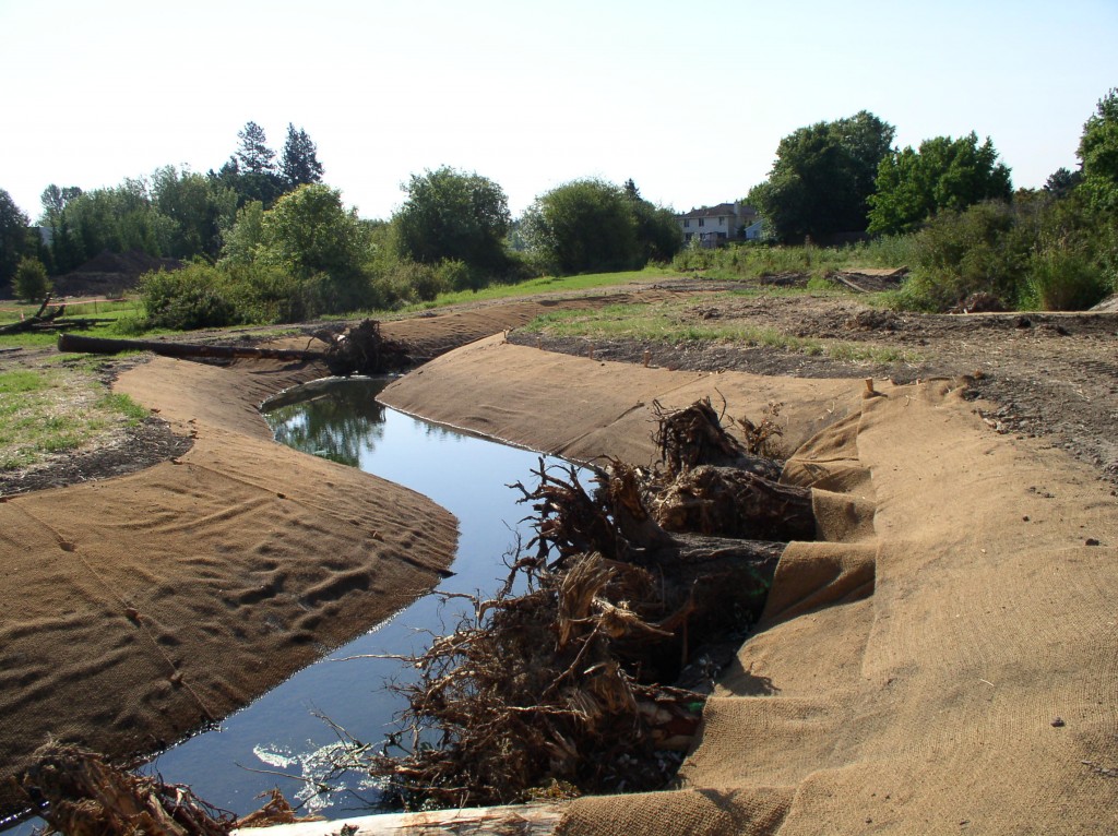 At some sites, like the stream pictured above, restoration efforts included remaindering the channel, to restore its connection to the floodplain.  Photo courtesy of the Bonneville Environmental Foundation.