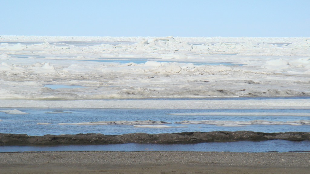 A view of the Chukchi Sea from Barrow, Alaska.  Photo courtesy of the author. 