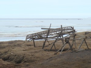 The wooden frame of a whaling boat sits near the coast of Barrow, Alaska.  Photo courtesy of the author.