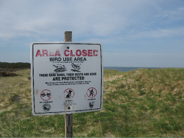 A sign warns visitors of fragile plover nesting habitat. Photo by the author.