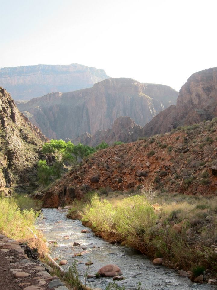 Bright Angel Creek winds through the canyon and eventually feeds into the Colorado River. Photo by the author.