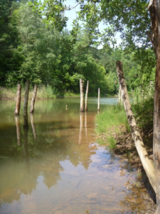 The Aquamarine at its Greenest