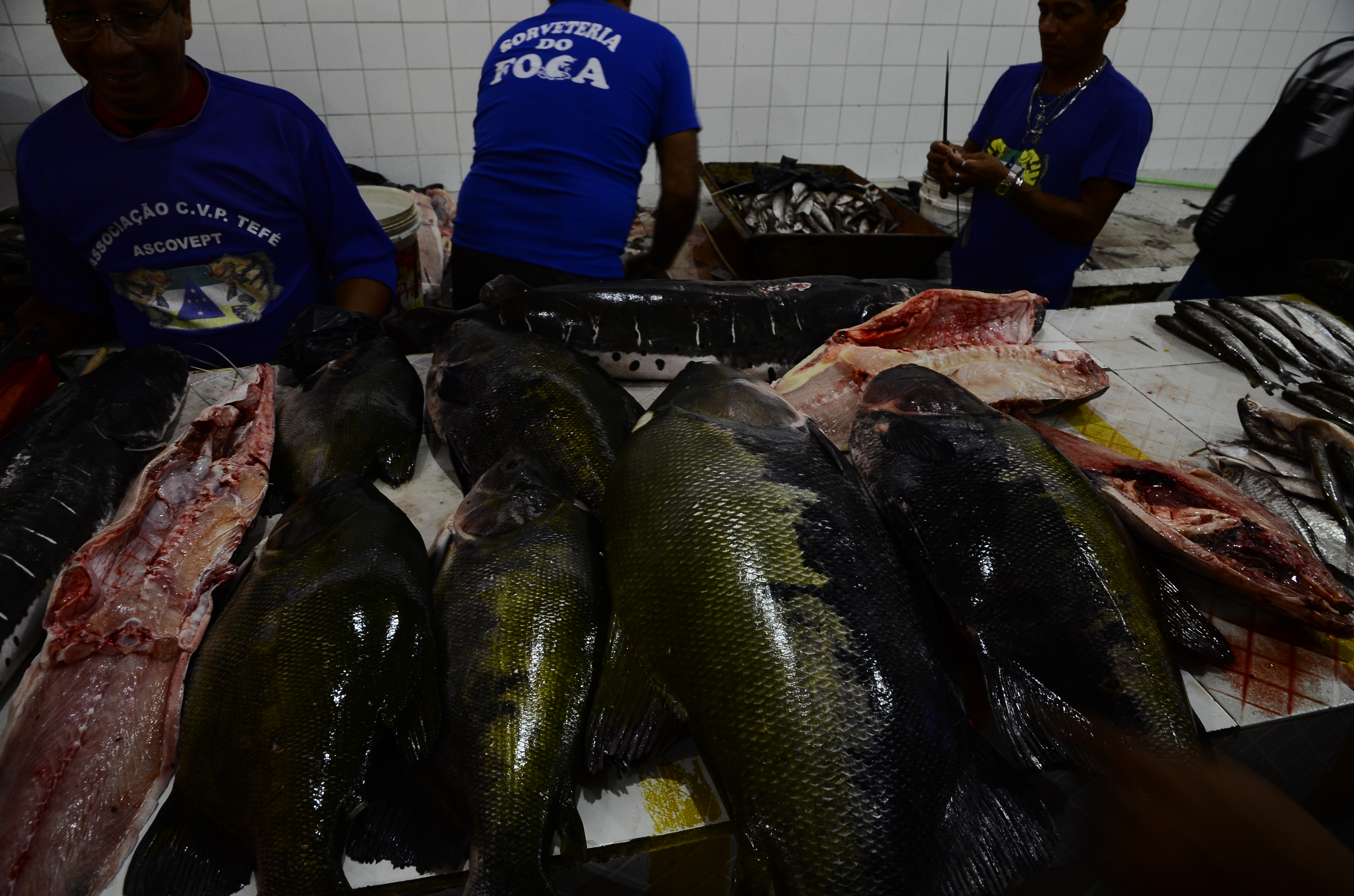 Fish market in Tefé.