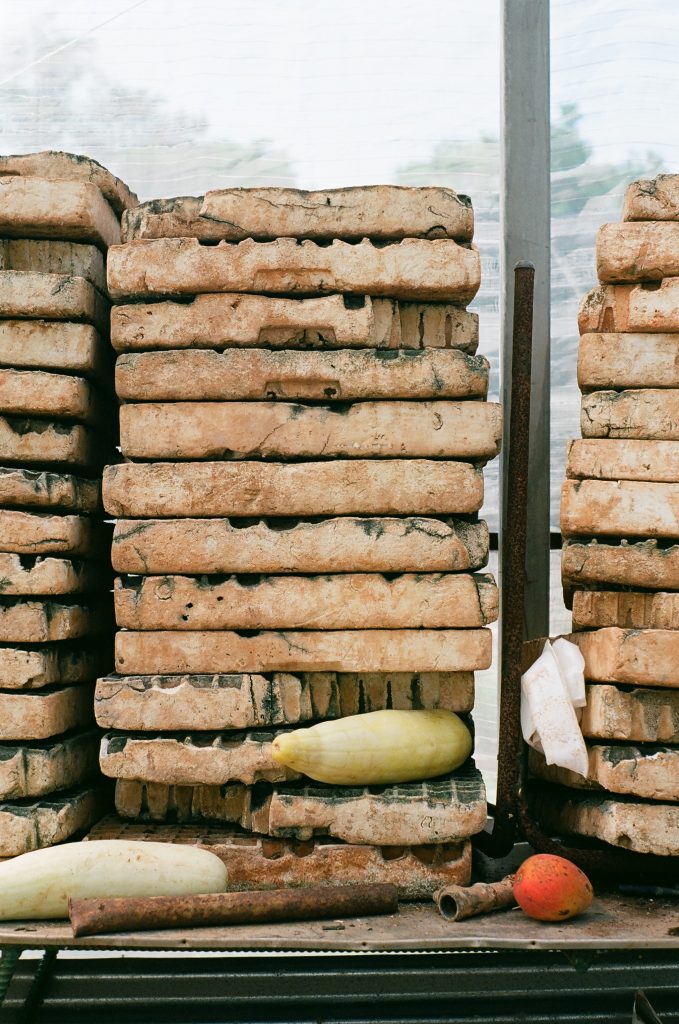 Urban FarmFed Cities Lessons from Cuba’s Organopónicos SAGE