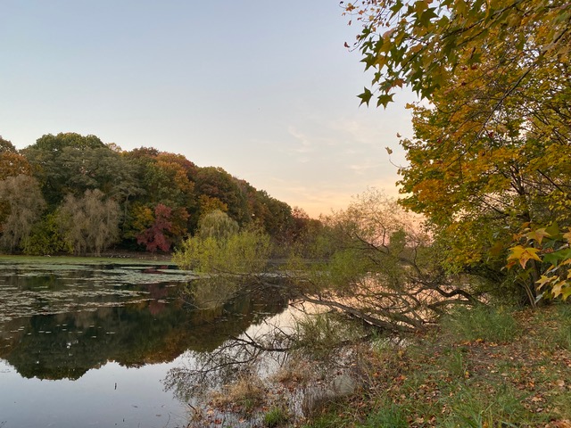 Fall brings brisk mornings, fall colors and … fish