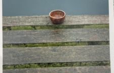 Algae, Wood, and a Singular Bowl
