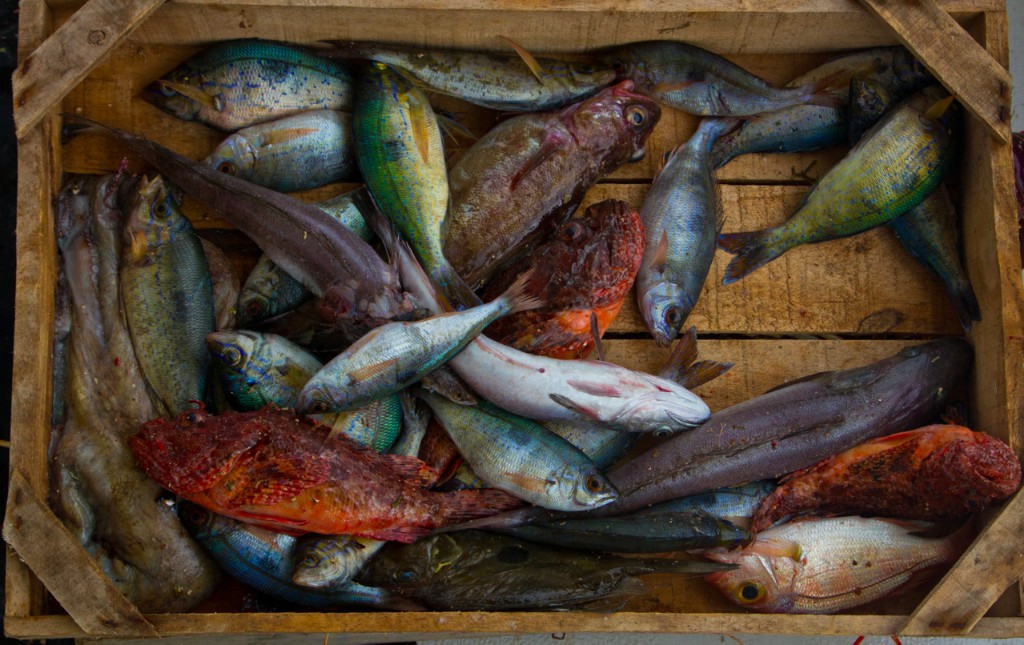 Fishing is a common source of income around these islands.